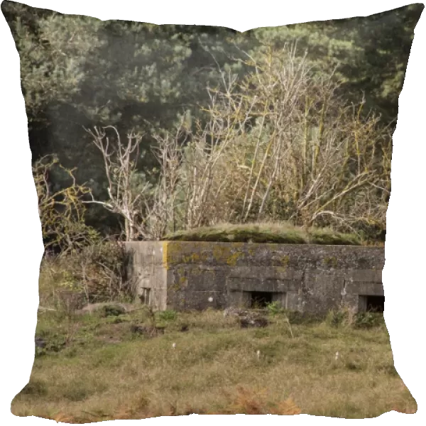 World war two Pillbox at Aldringham walks conservation area, part of the Suffolk Sandlings managed by the RSPB