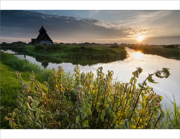 View of grazing marsh with Stinging Nettle (Urtica (Urtica dioica) patch and church beside flooded ditch at sunset, St