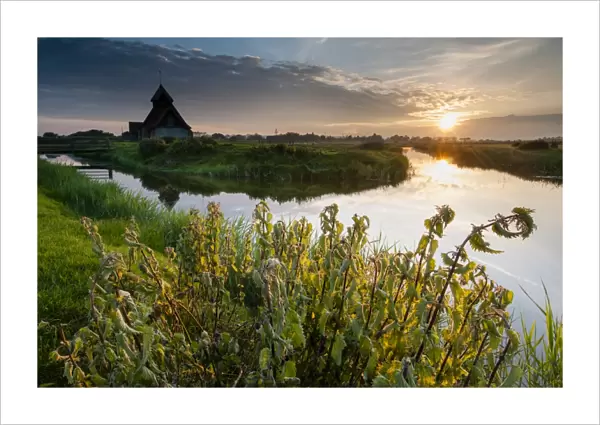 View of grazing marsh with Stinging Nettle (Urtica (Urtica dioica) patch and church beside flooded ditch at sunset, St