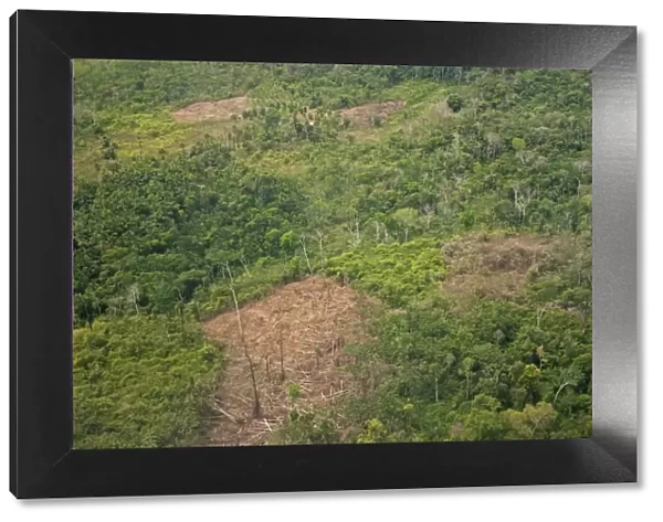 Aerial view of rainforest destruction, land clearance for farming, Peruvian Amazon, Peru, September