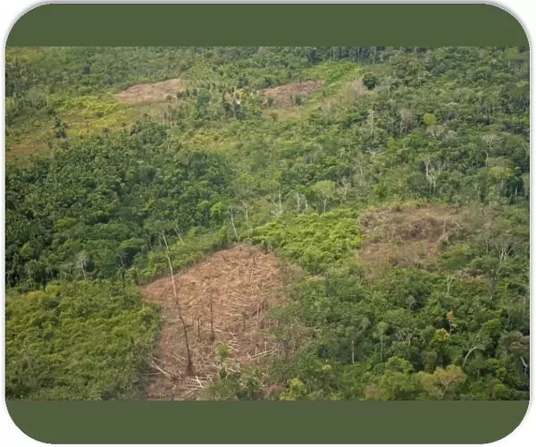 Aerial view of rainforest destruction, land clearance for farming, Peruvian Amazon, Peru, September