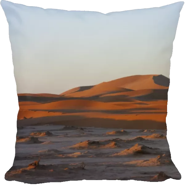View of sand dunes at edge of desert, Sahara, Morocco, january