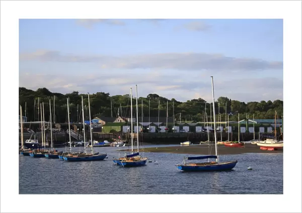 Sailing boats moored in harbour with incoming tide at dawn, Bembridge Harbour, Bembridge, Wight, England, june