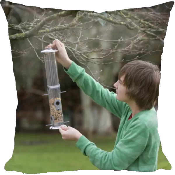 Teenage boy hanging birdfeeder from tree branch in garden, Portesham, Dorset, England, january
