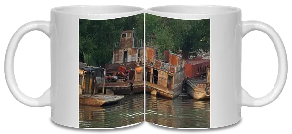 Rusting boats at edge of river, Tulcea, River Danube, Danube Delta, Dobrogea, Romania, may