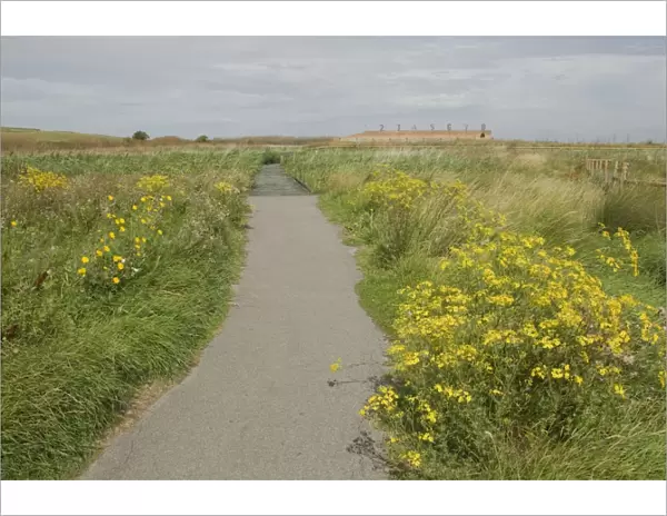 Pathway and boardwalk in wetland habitat, Rainham Marshes RSPB Reserve, Thames Estuary, Essex, England, august