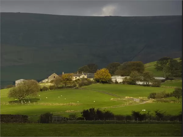 View of farmland, with farm buildings and sheep grazing in pasture, Blindhurst Farm, looking towards Bleasdale Moors