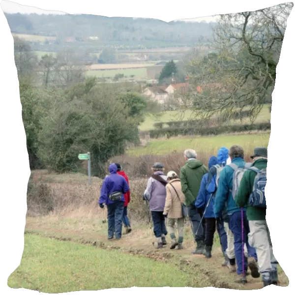 Group of walkers, members of Chiltern Society, walking along footpath in farmland, near Great Missenden