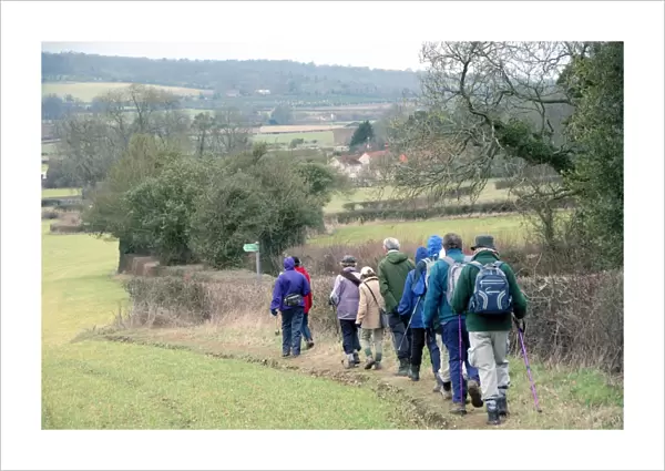 Group of walkers, members of Chiltern Society, walking along footpath in farmland, near Great Missenden