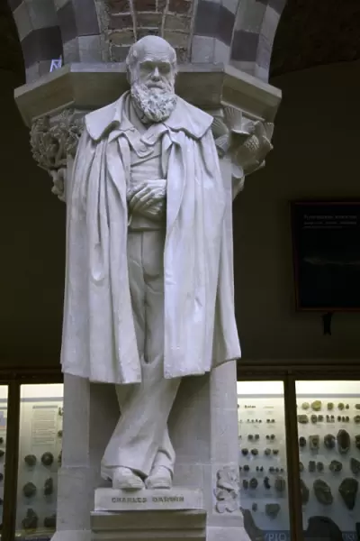 Statue of Charles Darwin, Oxford University Museum of Natural History, Oxford, Oxfordshire, England