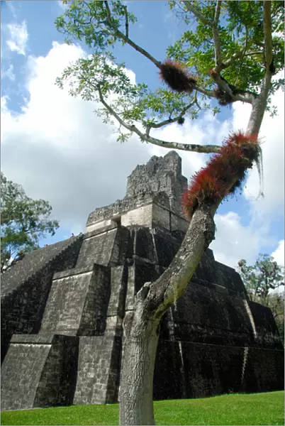 Central America, Guatemala, Petan jungle, Tikal National Park. Main Plaza, temple number 1