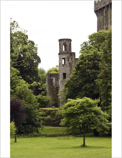 In Ireland, at the Blarney Castle tower surrounded by lush green trees