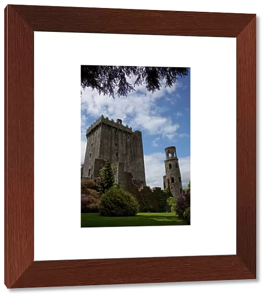 The Blarney Castle framed by colored textured plants under a blue sky with white