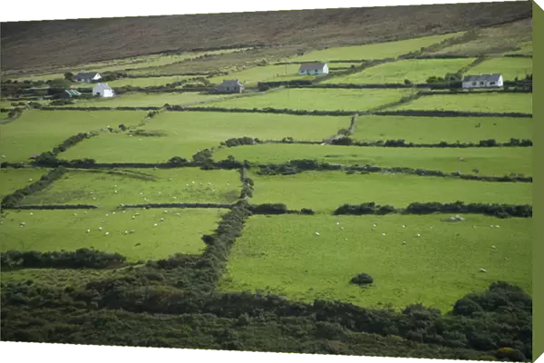 Irish Countryside, Ireland, Farms, Landscape, Scenic