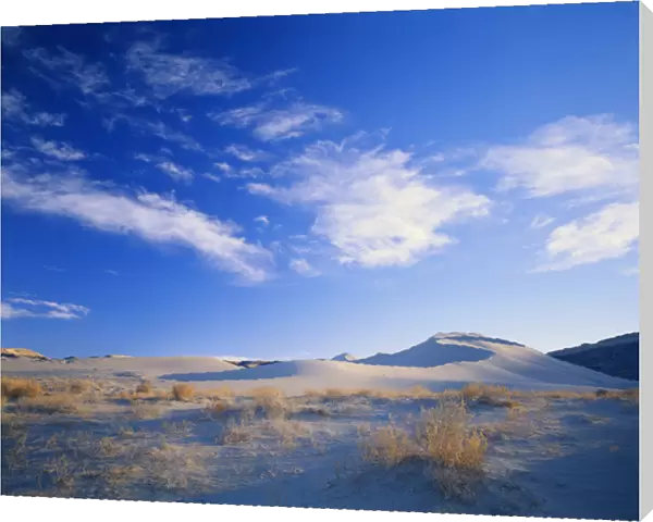 07. USA, Nevada, Great Basin, Salt Wells Basin, Cirrus clouds above sand dunes
