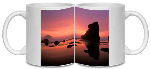North America, USA, Oregon. Oregon coast at sunset