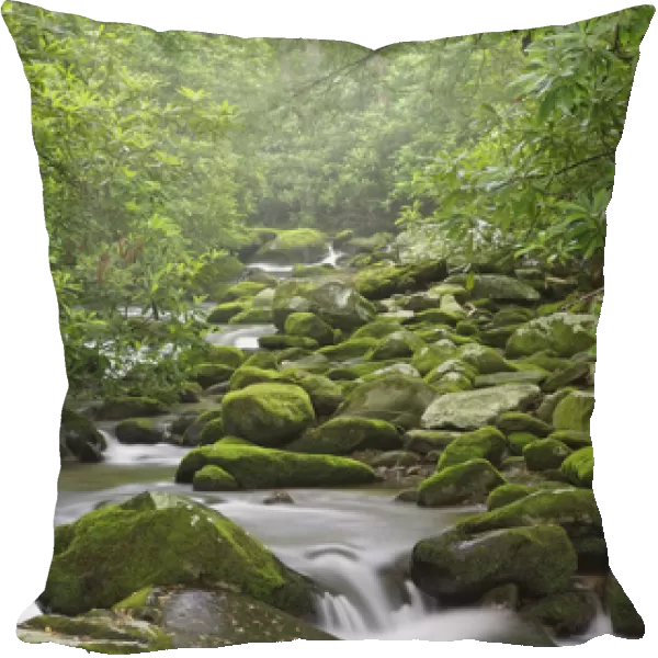 Roaring Fork Creek, Great Smoky Mountains National Park, Tennessee