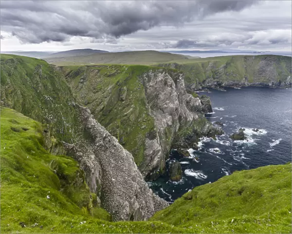 Hermaness National Nature Reserve on the island Unst
