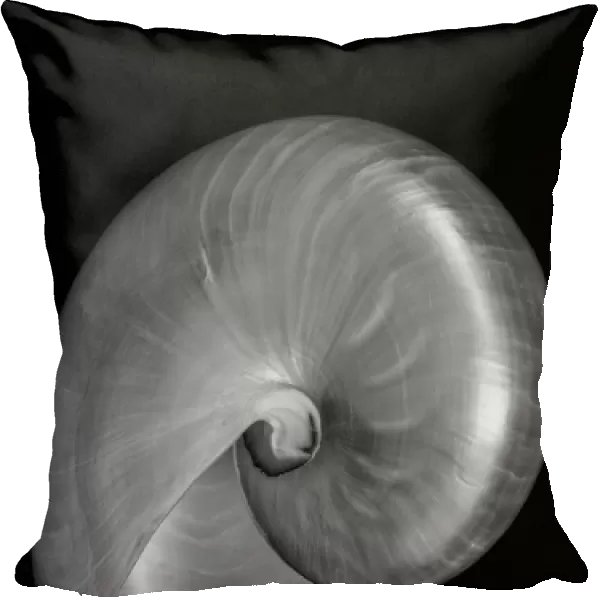 USA Nautilus Oblique