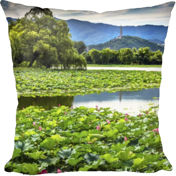 Yue Feng Pagonda Pink Lotus Pads Garden Reflection Summer Palace Beijing China