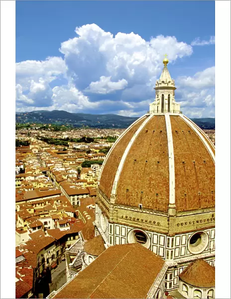 High angle view of a cathedral, Duomo Santa Maria Del Fiore, Florence, Tuscany, Italy