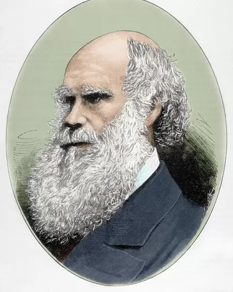 DARWIN, Charles Robert (1809-1882) British naturalist. Colored engraving