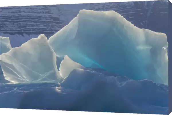 Greenland, Scoresby Sund, Gasefjord. Chunk of ice on top of an iceberg