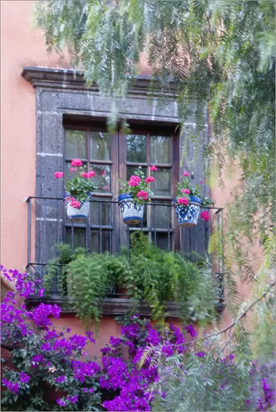 San Miguel de Allende, Window with geraniums and bougainvillia
