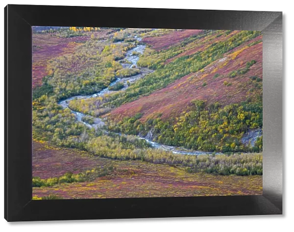 USA, Alaska, Brooks Range. Landscape of tundra and Dietrich River