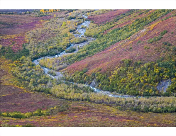 USA, Alaska, Brooks Range. Landscape of tundra and Dietrich River