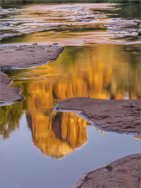 USA, Arizona, Sedona. Cathedral Rock reflects in creek