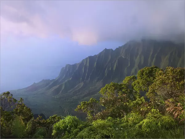 USA, Hawaii, Kauai. Kalalau Overlook of Na Pali Coast