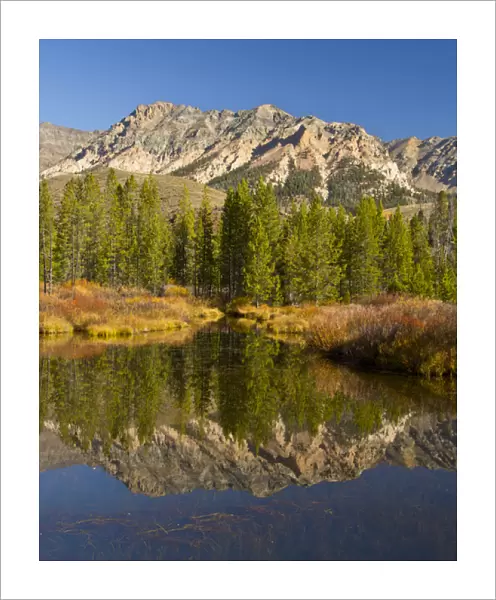 Evergreens; Boulder Mountains; reflection; Big Wood River; Sawtooth National Forest