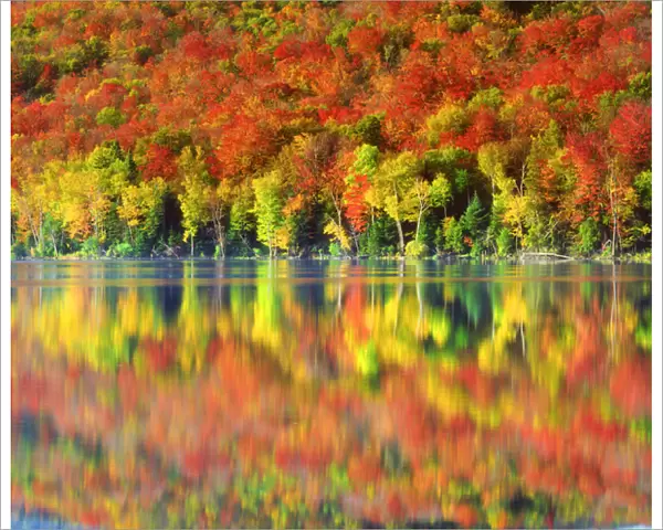 USA; New York; Autumn colors relecting in Heart Lake in the Adirondacks