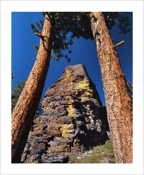 USA, Oregon, Gearhart Mountain Wilderness. Trees frame rock formation. Credit as