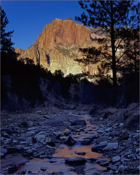 Zion National Park, Utah. USA. Horse Ranch Mountain reflected in Taylor Creek