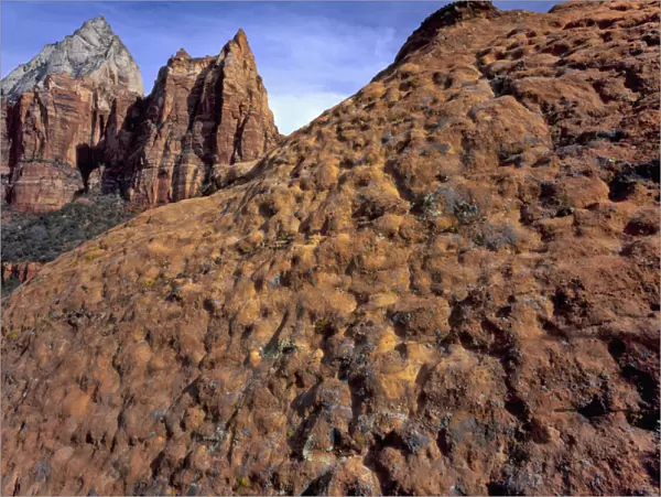 Zion National Park, Utah. USA. Eroded sandstone slab