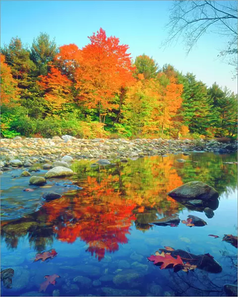 USA, Vermont, Autumn Colors reflecting in a stream in Vermont