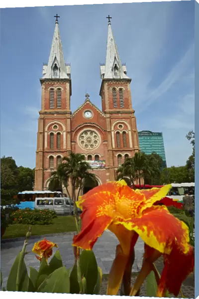 Flower and Notre-Dame Cathedral Basilica of Saigon, Ho Chi Minh City (Saigon), Vietnam