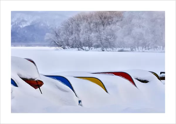 Asia, Japan, Hokkaido, Lake Kussharo, Colorful Canoes in the Snow