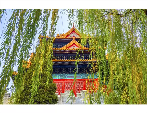 Arrow Tower, willow tree in Autumn. Forbidden City palace wall, Beijing, China