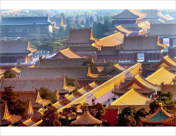 Yellow roofs, Forbidden City, Beijing, China