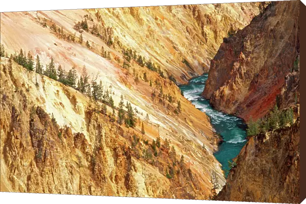 The Yellowstone River and canyon from Grandview Point, Yellowstone National Park, Wyoming, USA
