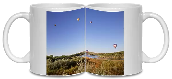 USA, New Mexico, Albuquerque. Hot air balloon
