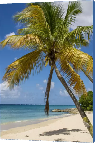 Sprat Hall Beach, St. Croix, US Virgin Islands
