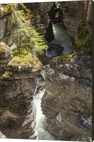Jasper National Park, Alberta, Canada. The Maligne river flows through the bottom