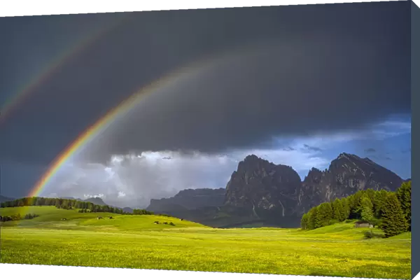 Europe, Italy, Dolomites, Alpe di Siusi. Double rainbow over mountain meadow. Credit as