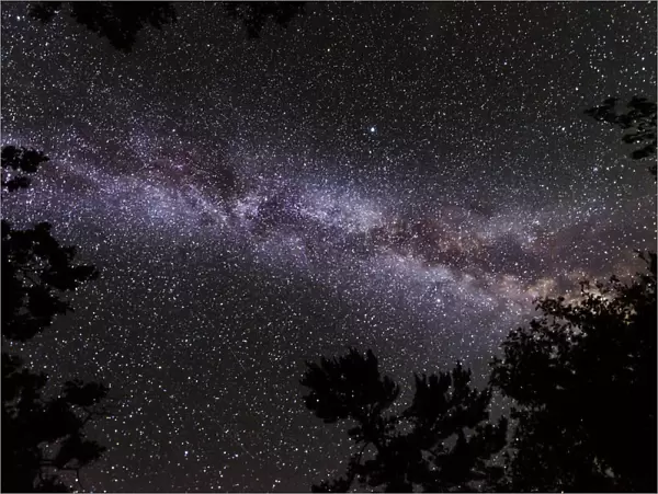 Canada, Ontario, Sioux Narrows Provincial Park, Night sky with Milky Way