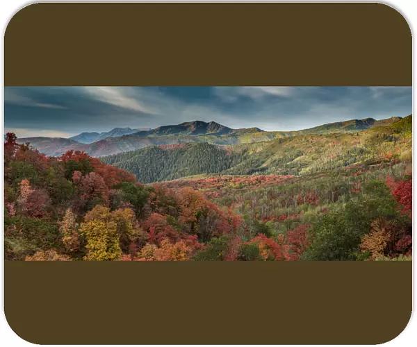 Multicolored fall panoramic landscape, Wasatch Mountains, near Park City and Midway, Utah