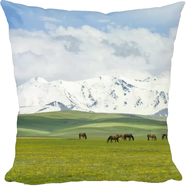 The Alaj valley with the Transalai mountains in the background. The Pamir Mountains
